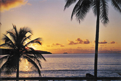 Beautiful views of cruise ships arriving at Sunrise